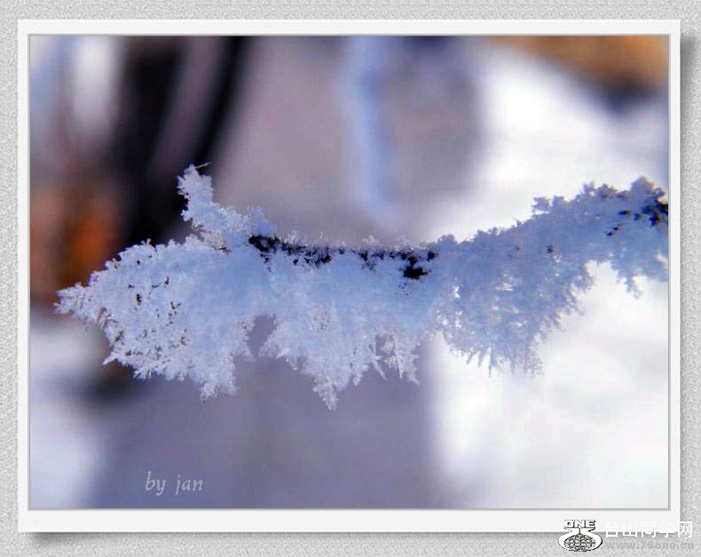 DSCF2163=.jpg