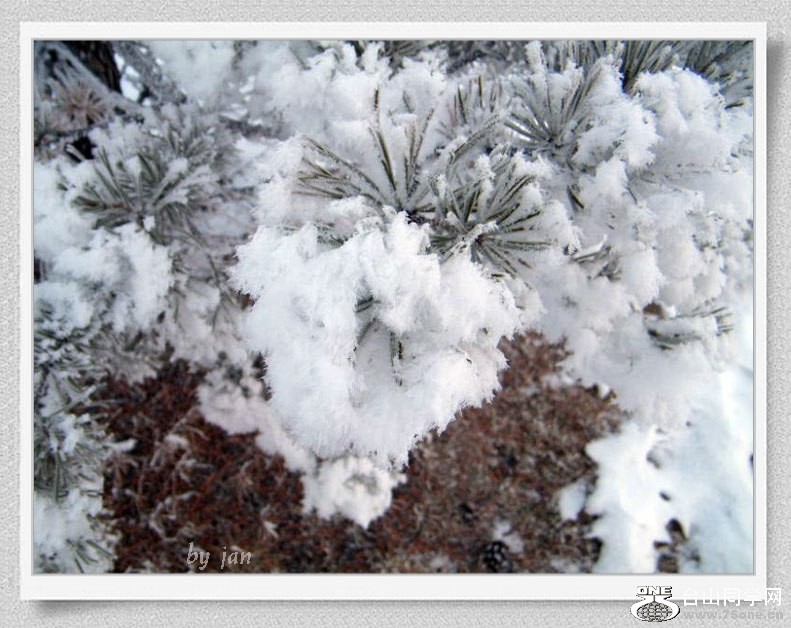 DSCF2094=0.jpg