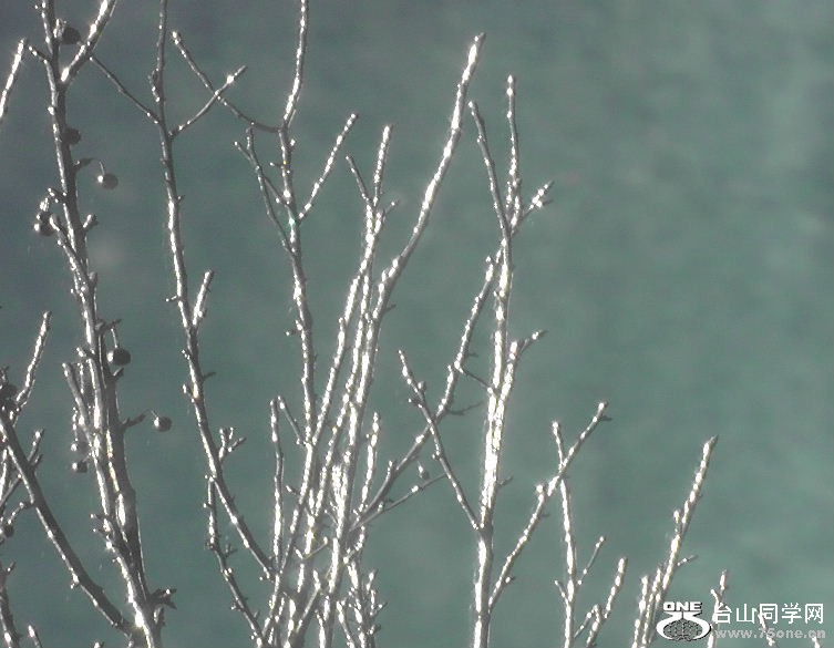 2012_032010019.JPG