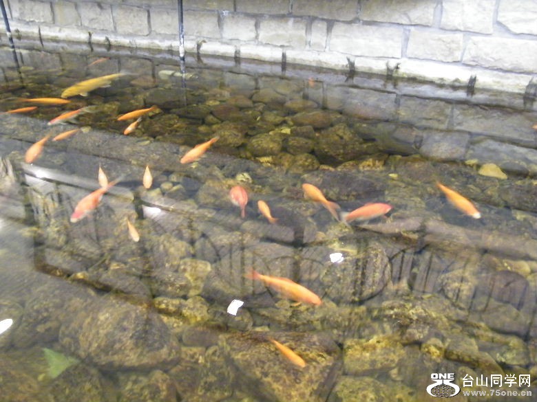DSCF9536.JPG