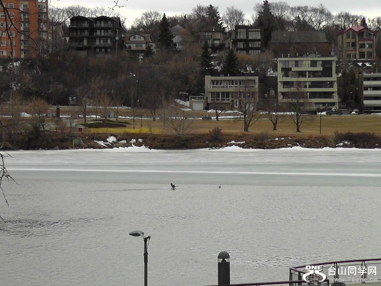 2012_031710224.JPG