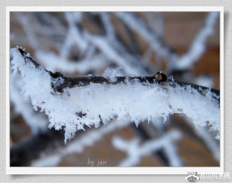 DSCF2166=.jpg