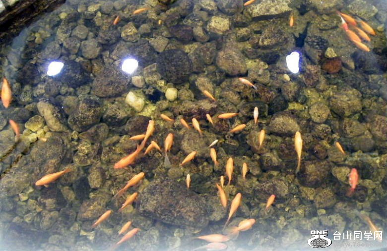 DSCF2024.JPG