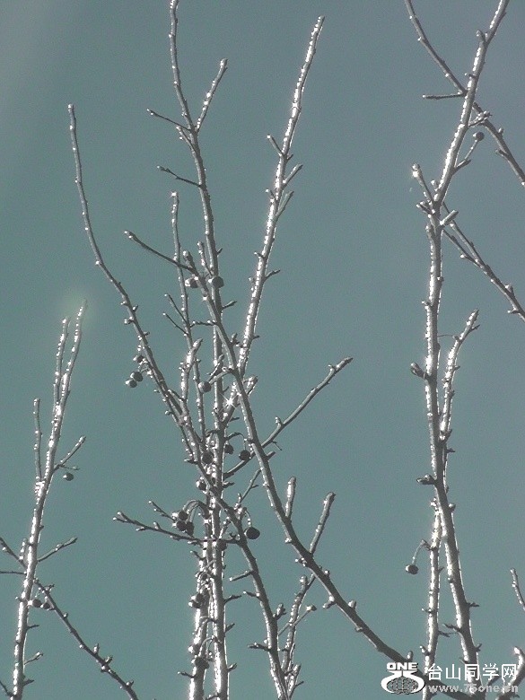 2012_032010026.JPG