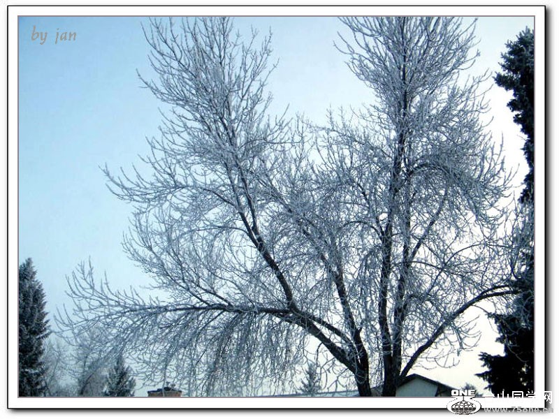 DSCF2110=.jpg