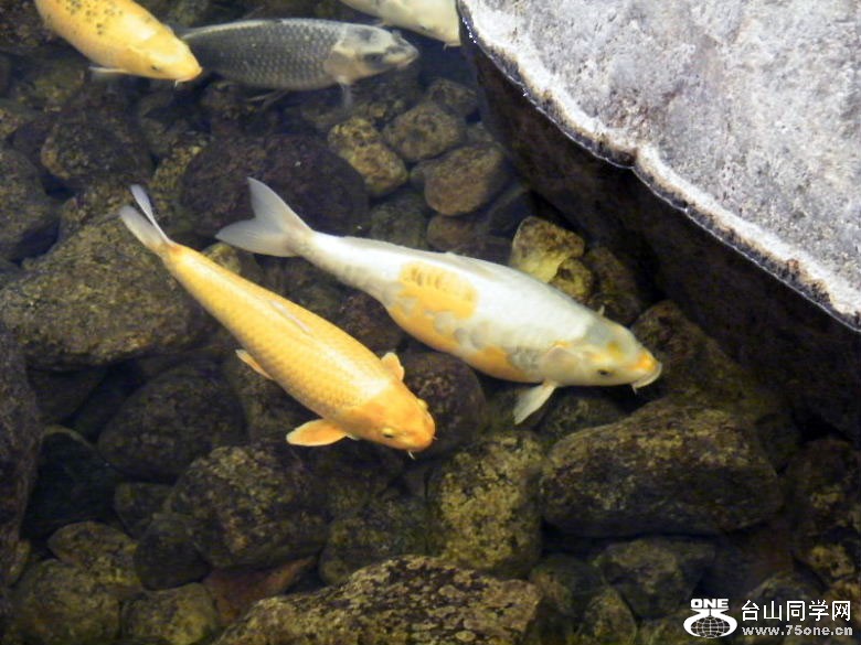 DSCF2029.JPG