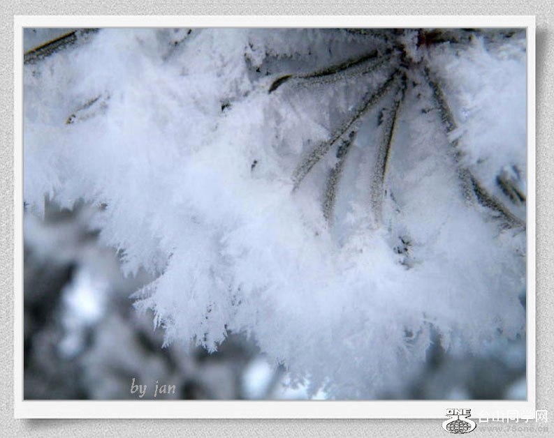 DSCF2096=0.jpg