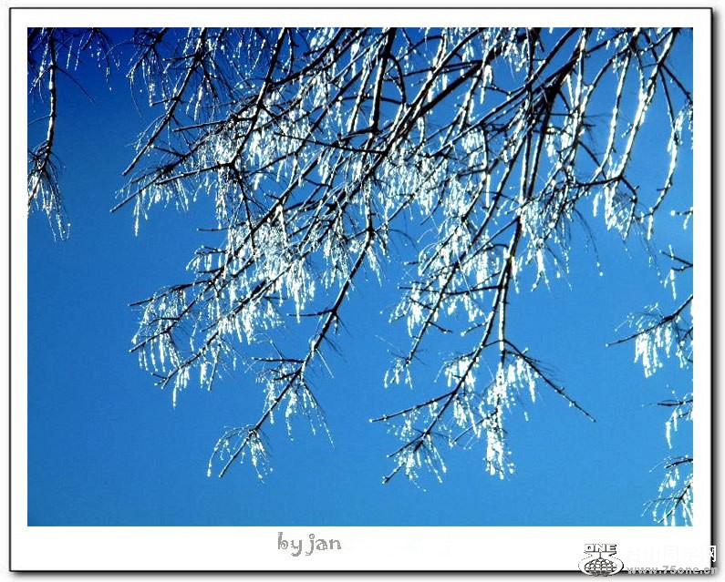 DSCF3029=0.jpg