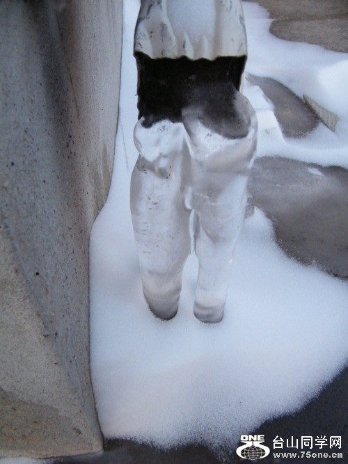 DSCF2454.JPG