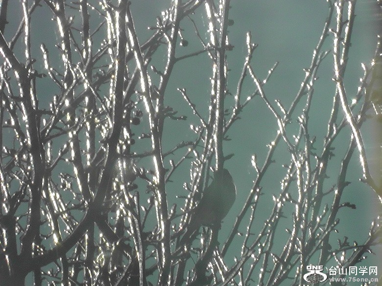 2012_032010018.JPG