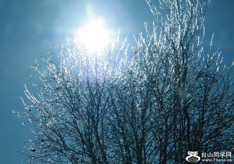 DSCF2995.JPG