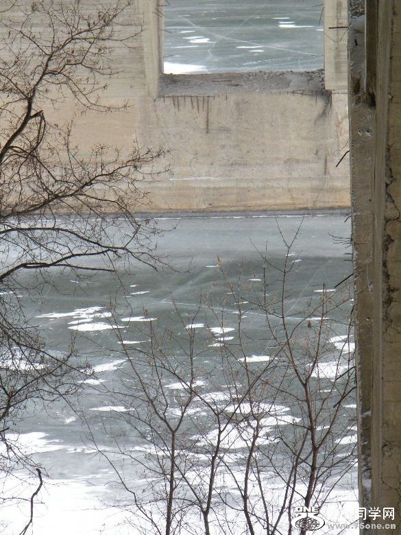DSCF2429.JPG