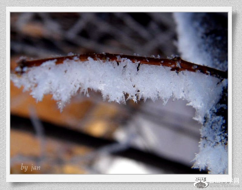 DSCF2170=.jpg