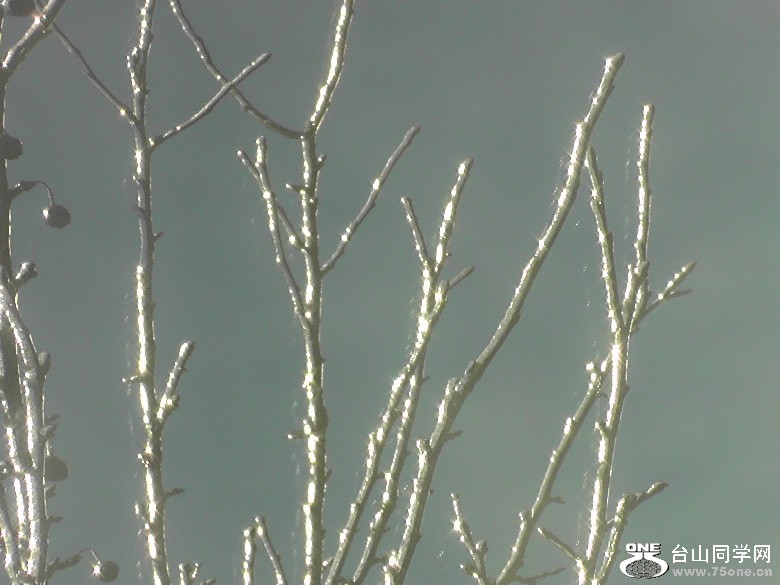2012_032010040.JPG