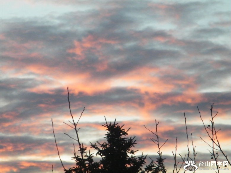 DSCF1391.JPG