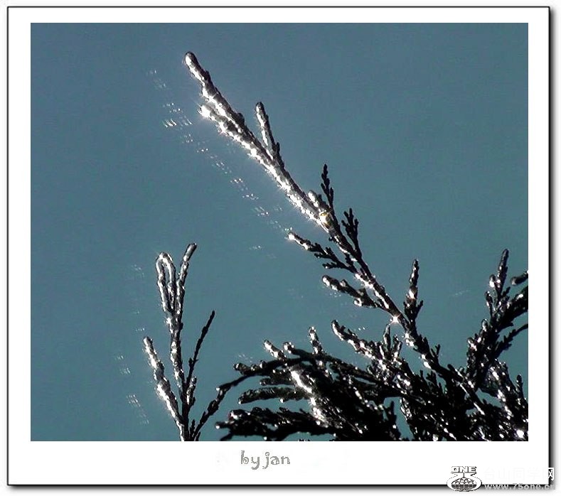 2012_032010060=.jpg