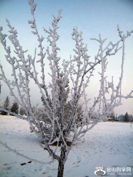 DSCF2089=0.jpg