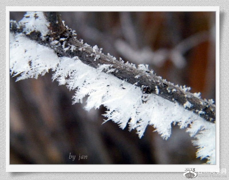 DSCF2114=.jpg