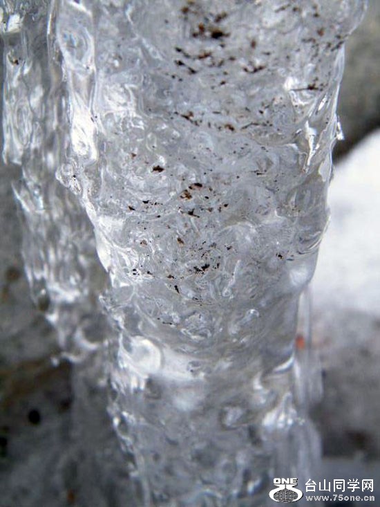 DSCF2078.JPG