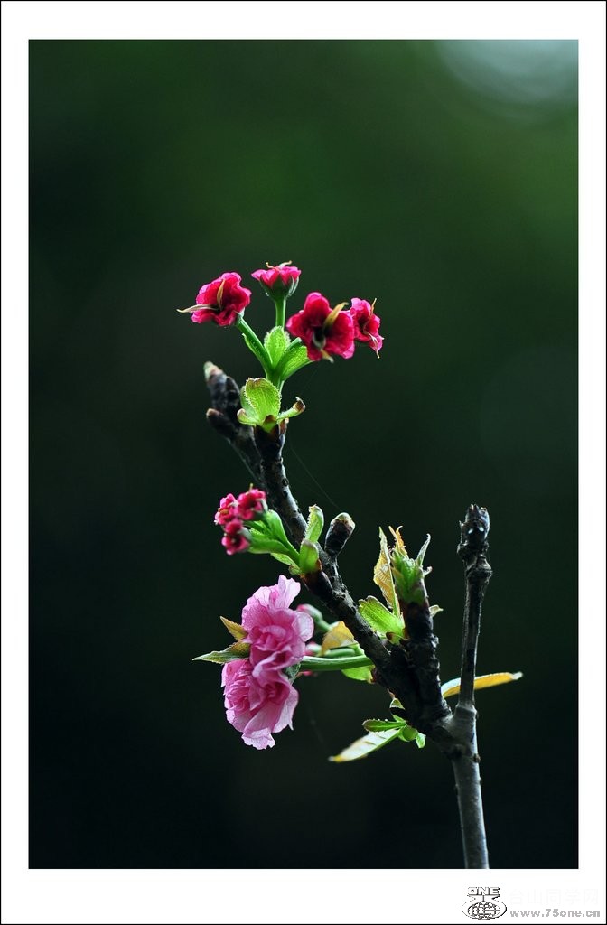 nEO_IMG_DSC_0034_conew1.jpg