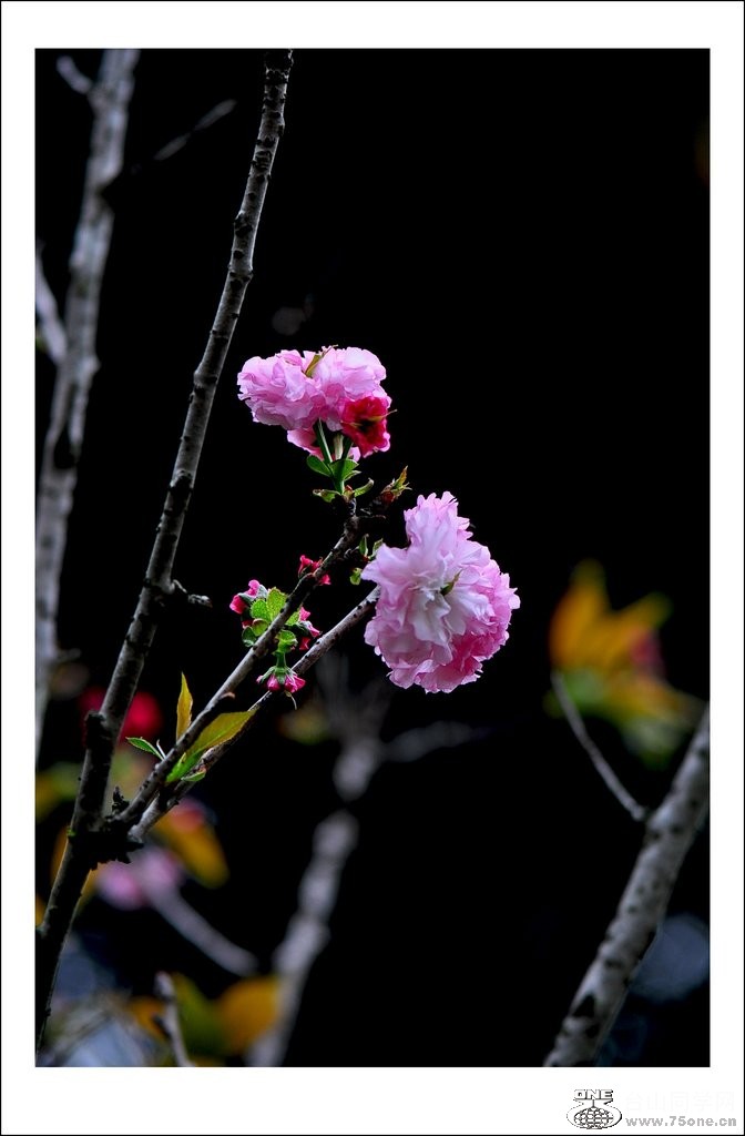 nEO_IMG_DSC_0038_conew1.jpg