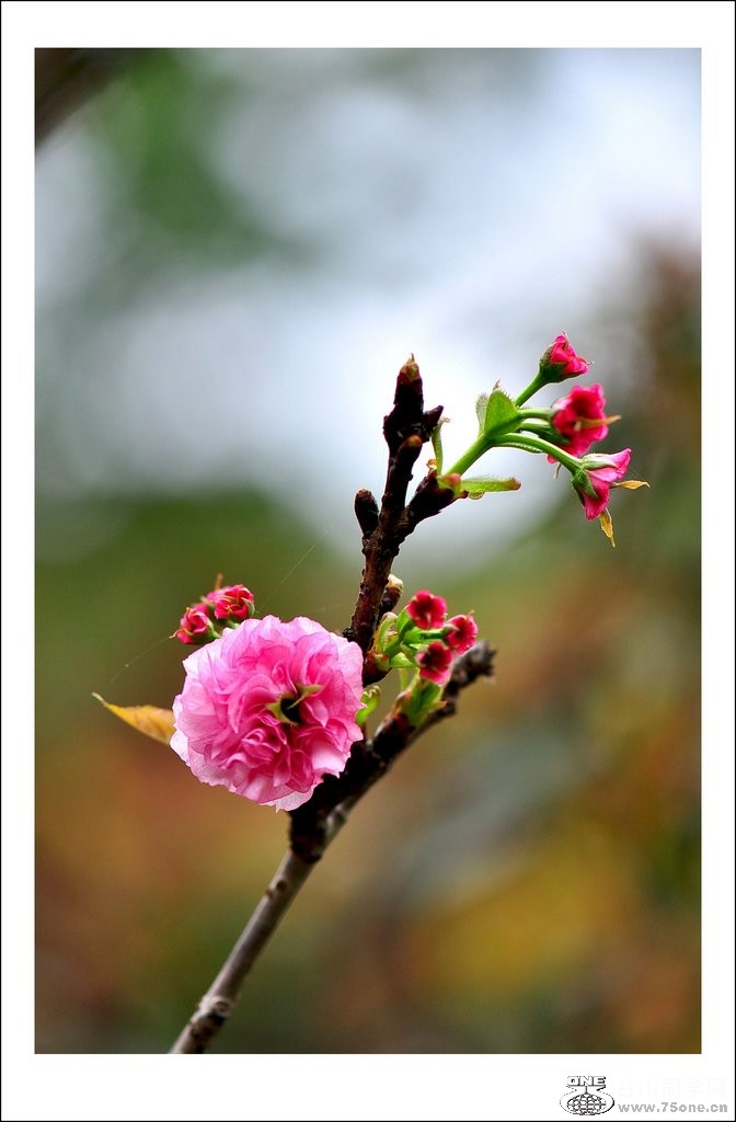 nEO_IMG_DSC_0046_conew1.jpg
