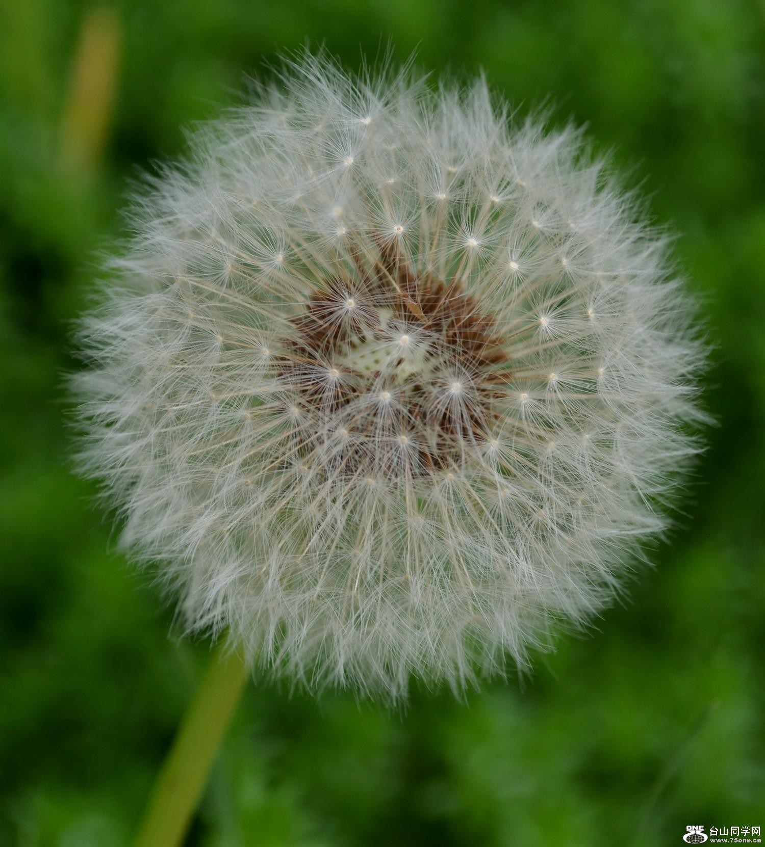 103_6254_fff31ce09d6a007.jpg