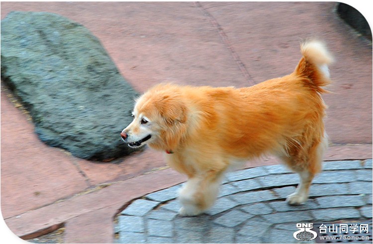 dsc_4182_.jpg