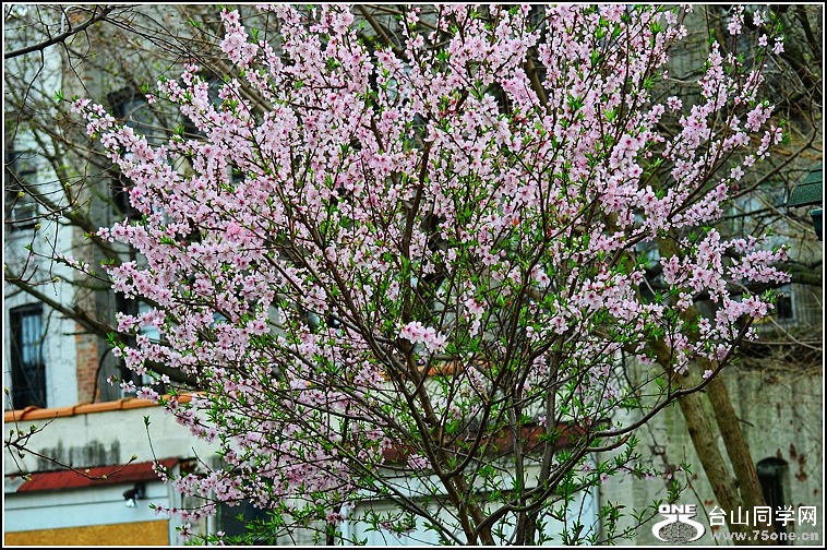 DSC_9139.jpg