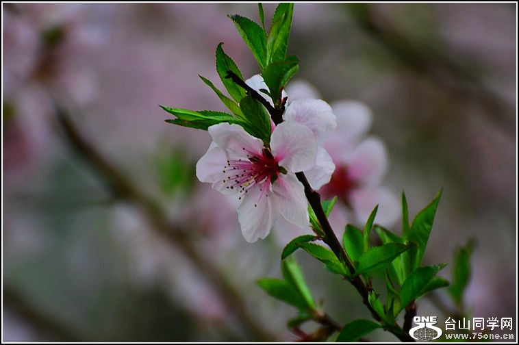 DSC_9135.jpg
