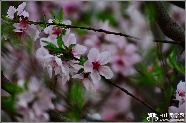 DSC_9134.jpg