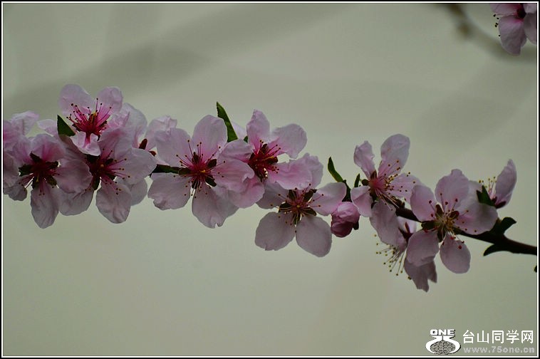 DSC_9145.jpg