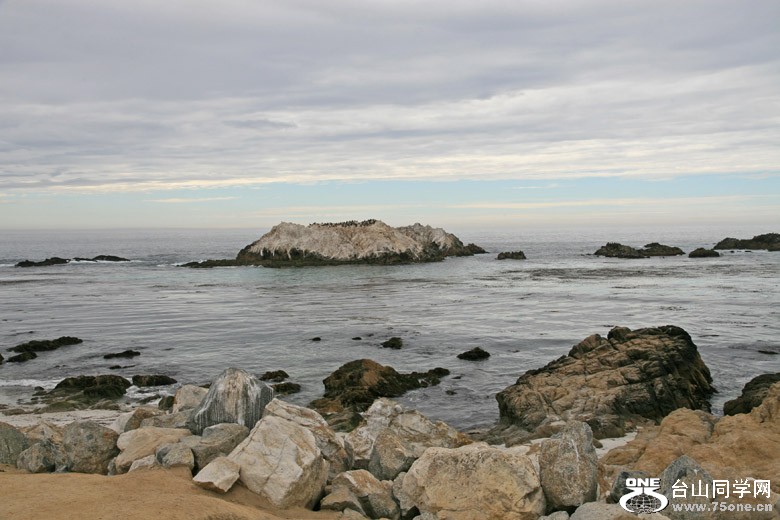 IMG_5685.jpg