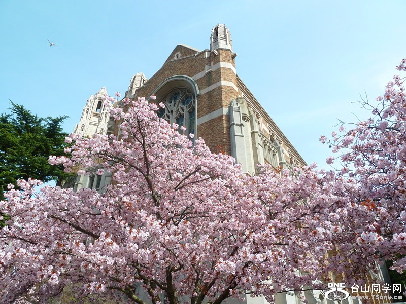 P1040016_副本.jpg