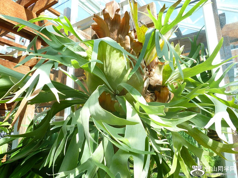 P1040119_副本.jpg
