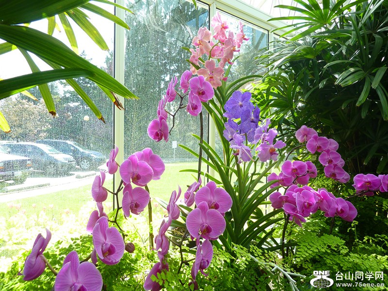 P1040126_副本.jpg