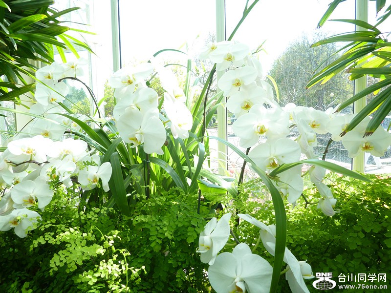 P1040127_副本.jpg