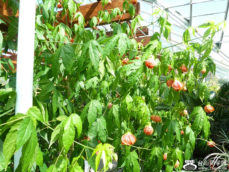 P1040112_副本.jpg