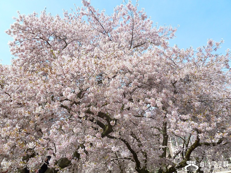 P1040001_副本.jpg