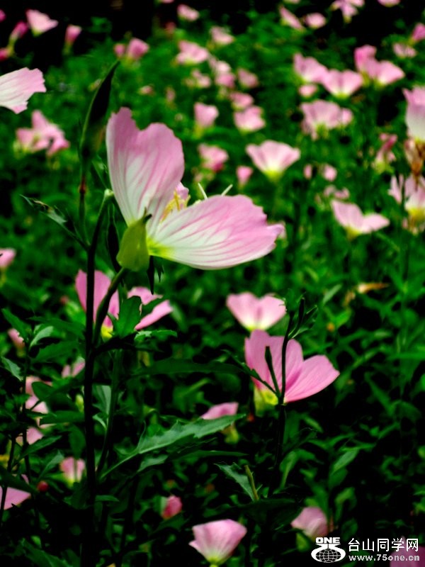 DSC02272.JPG