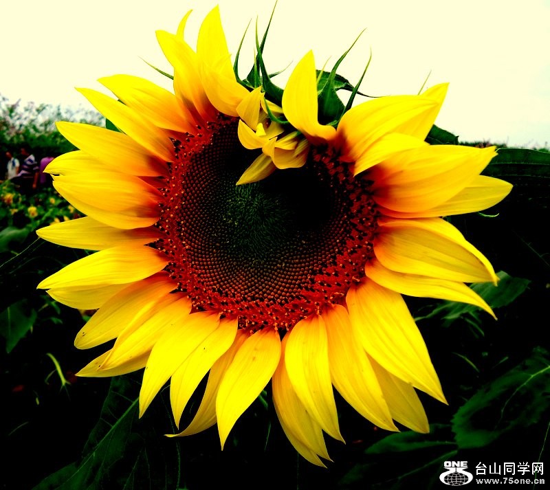 DSC02236.JPG