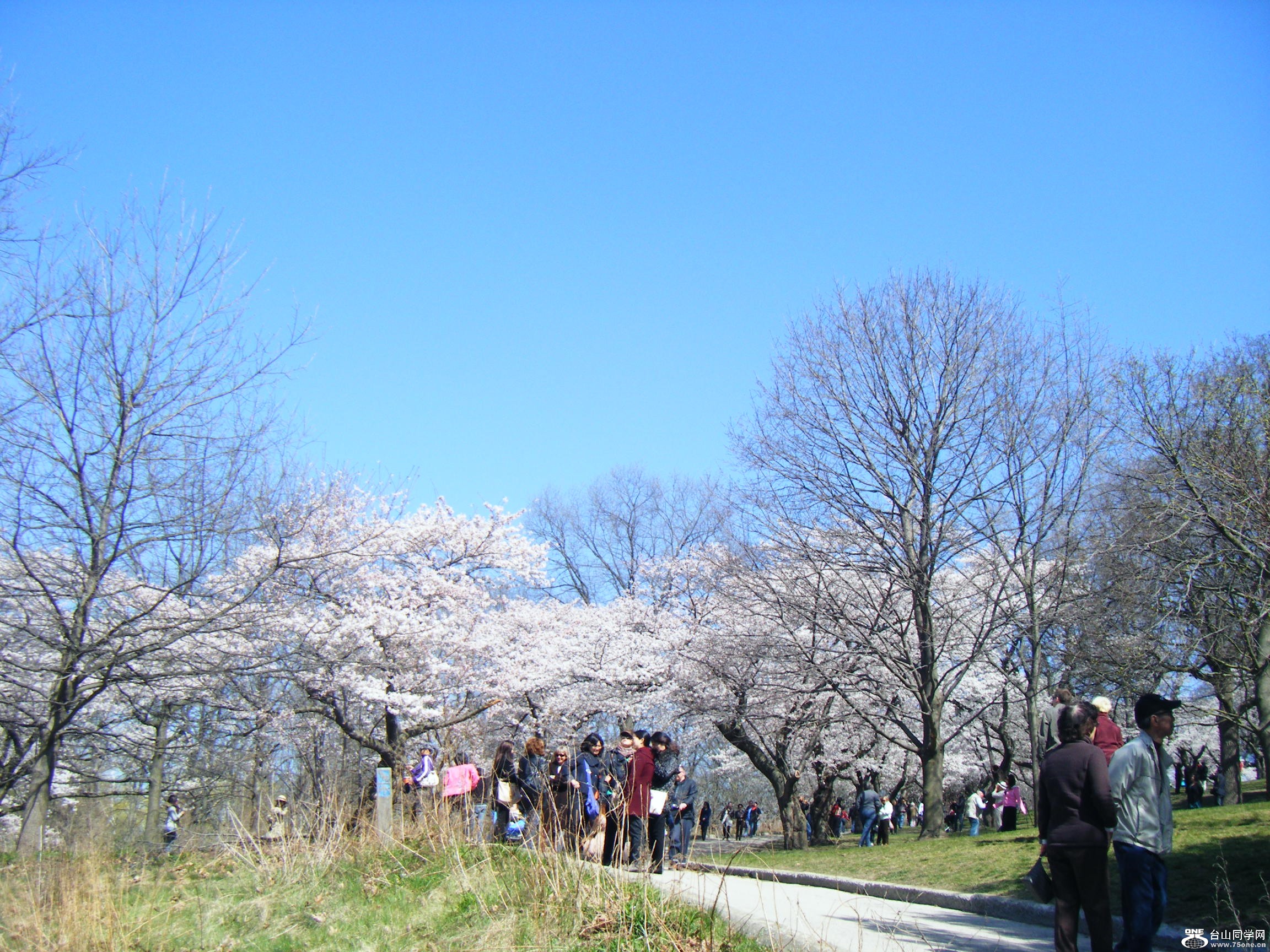 High Park @һ[4-13 151.JPG