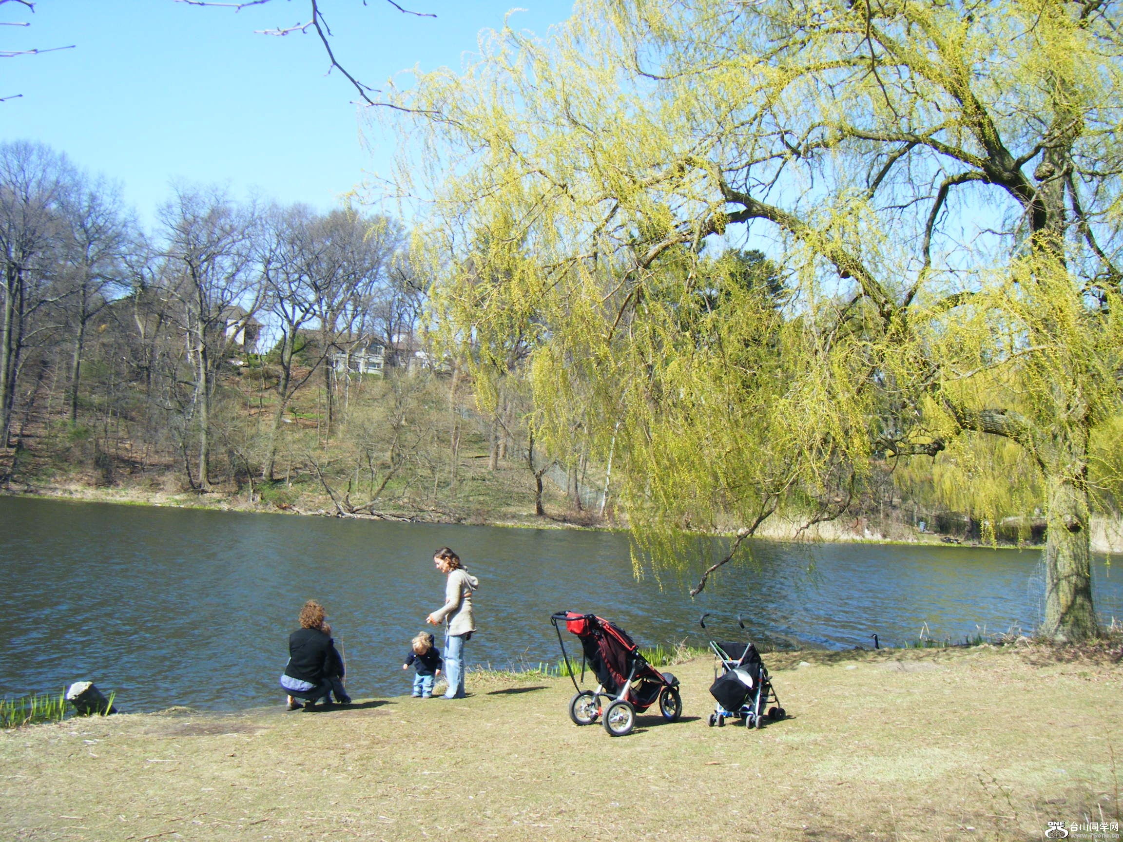 High Park @һ[4-13 088.JPG