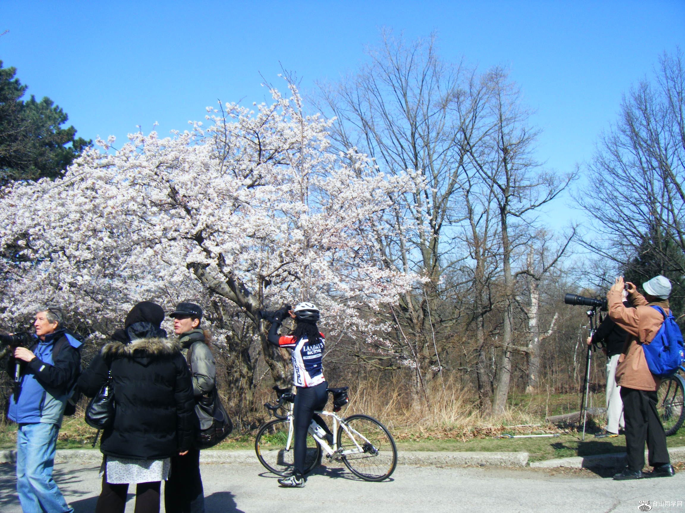 High Park @һ[4-13 037.JPG