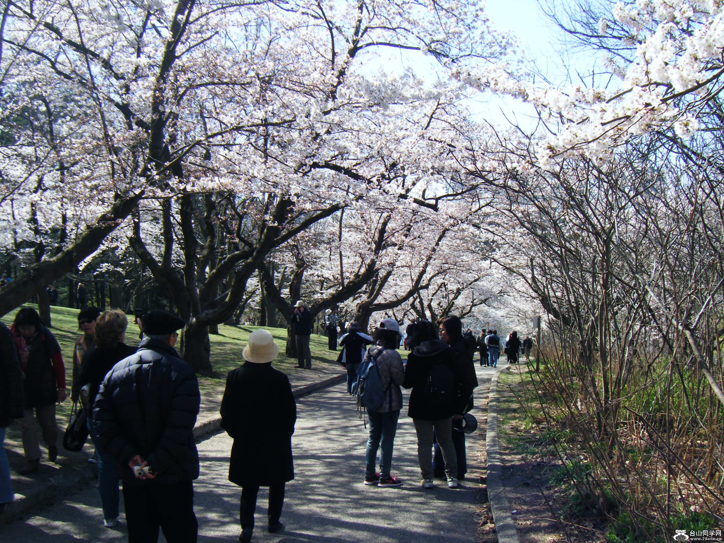 High Park @һ[4-13 065.JPG