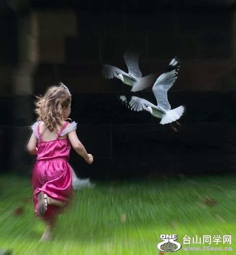 159_33607_1d8c39616bf75ba.jpg