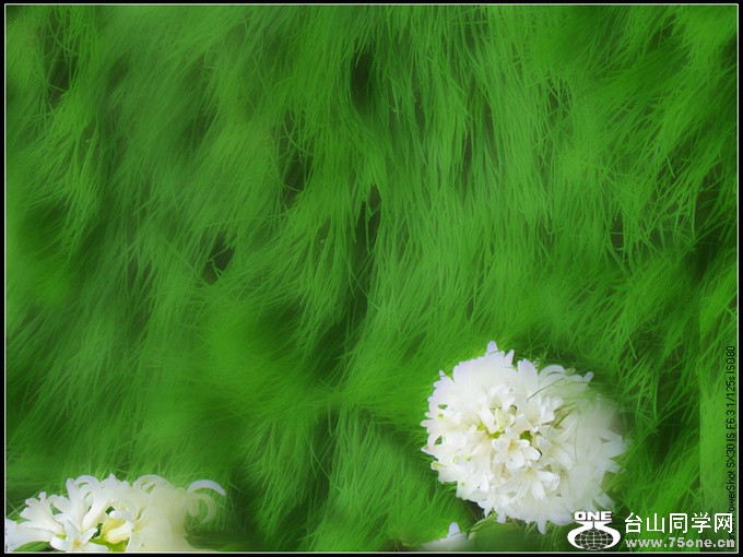 ȡǧ 049.jpg
