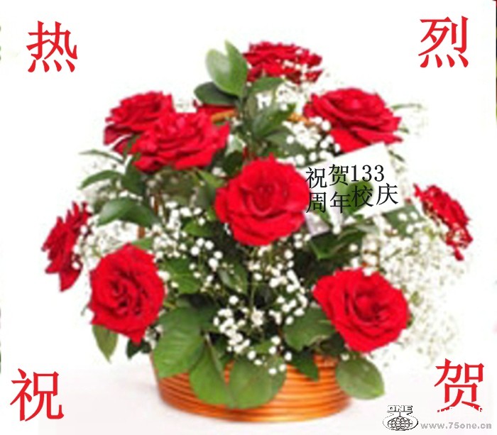 13542R1029.jpg
