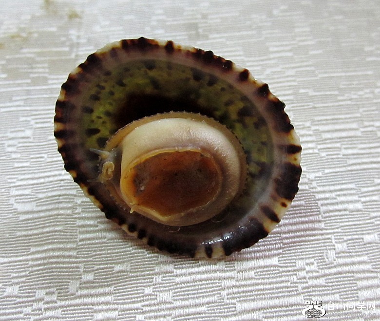 2012415䡢ʯ̶ 027_conew1.jpg