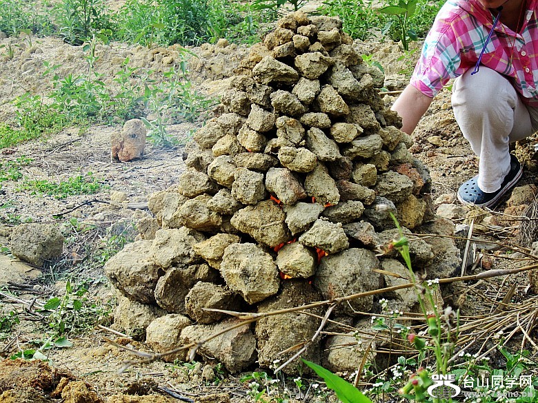 2012415䡢ʯ̶ 179_conew1.jpg